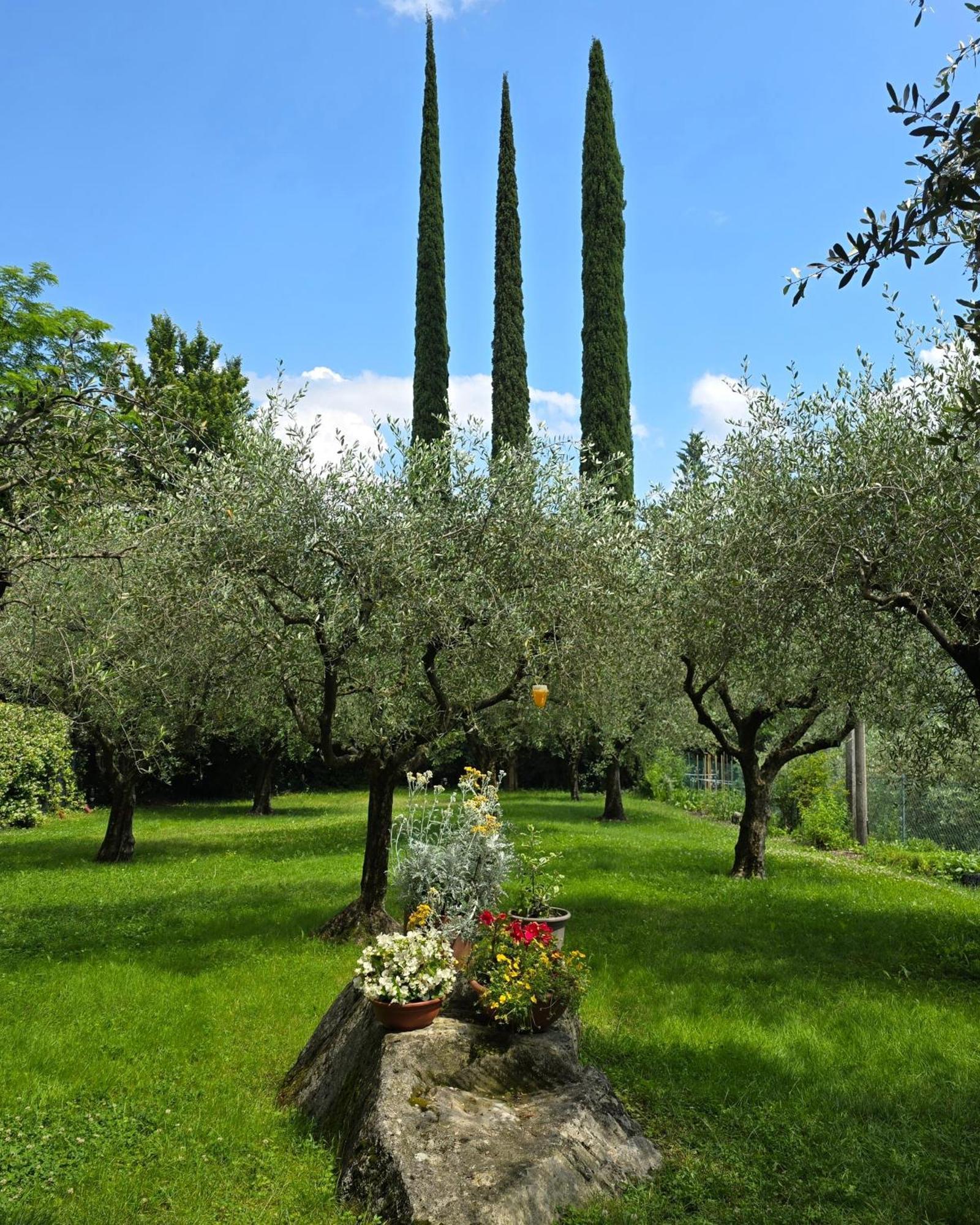 La Berlera - Riva Del Garda Hotel Buitenkant foto