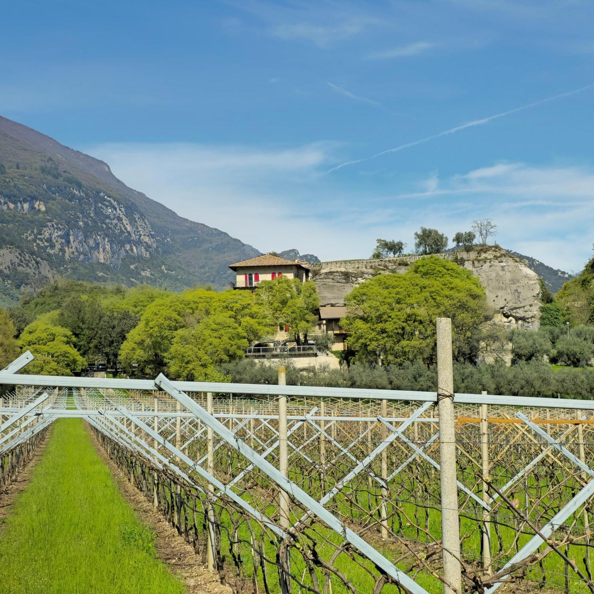 La Berlera - Riva Del Garda Hotel Buitenkant foto